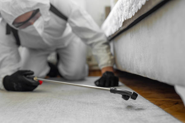 Professional Cockroach Control technician working in Silvis, IL