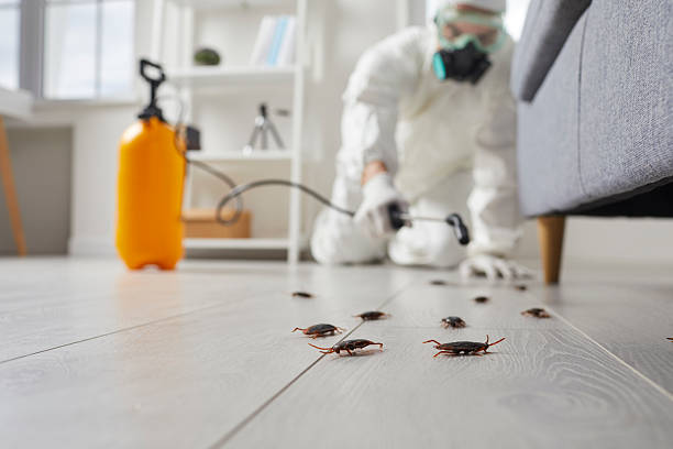 Affordable Cockroach Control solutions in Silvis, IL